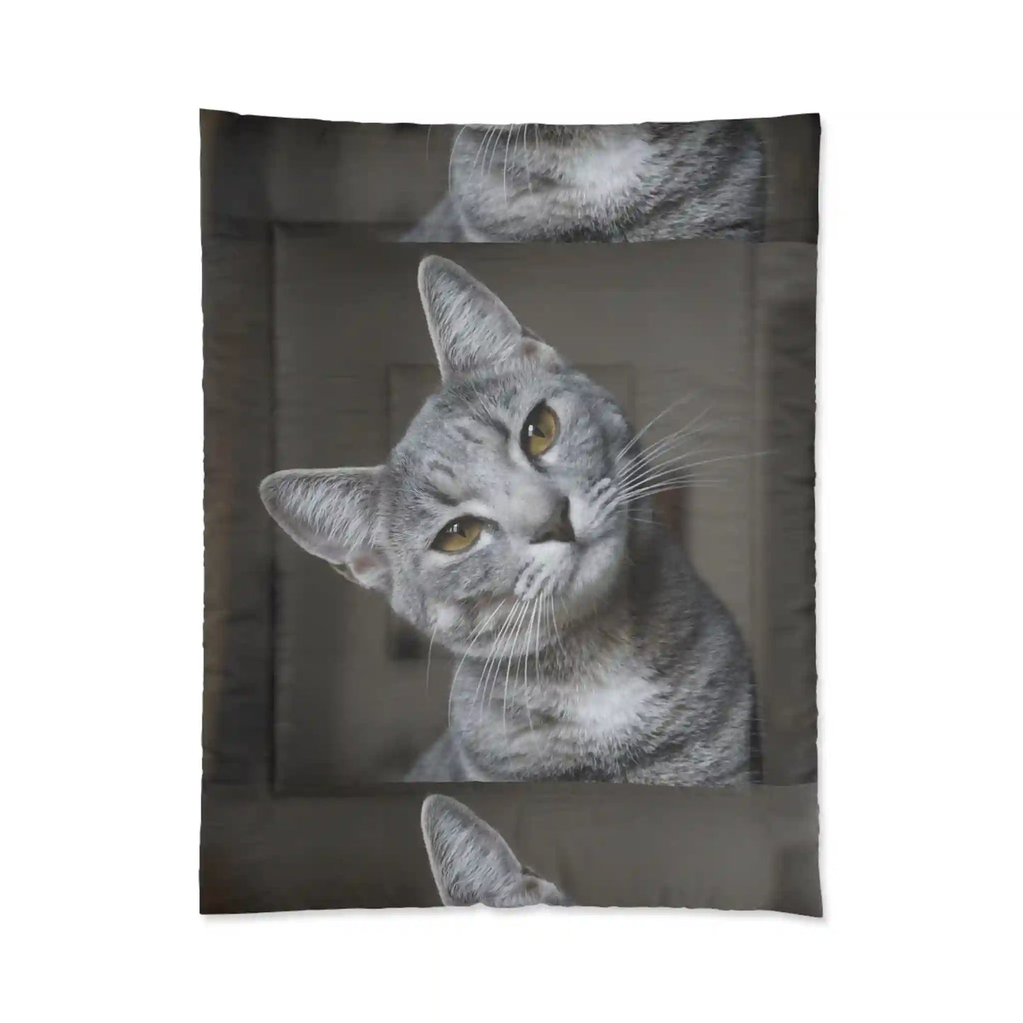 Comforter, quilting, laying, bed quilt  (Cat)