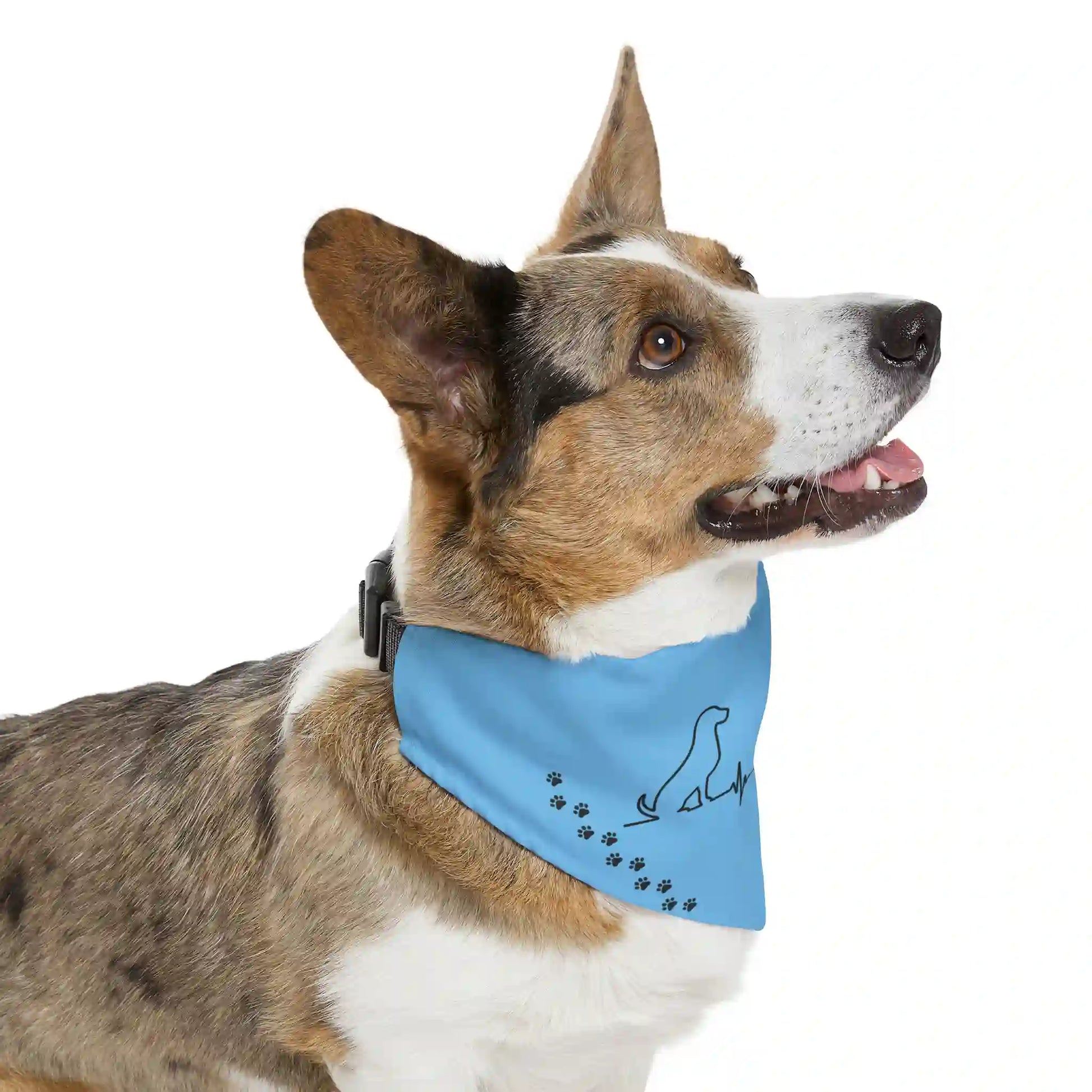 Pet Bandana Collar (Cat & Dog)