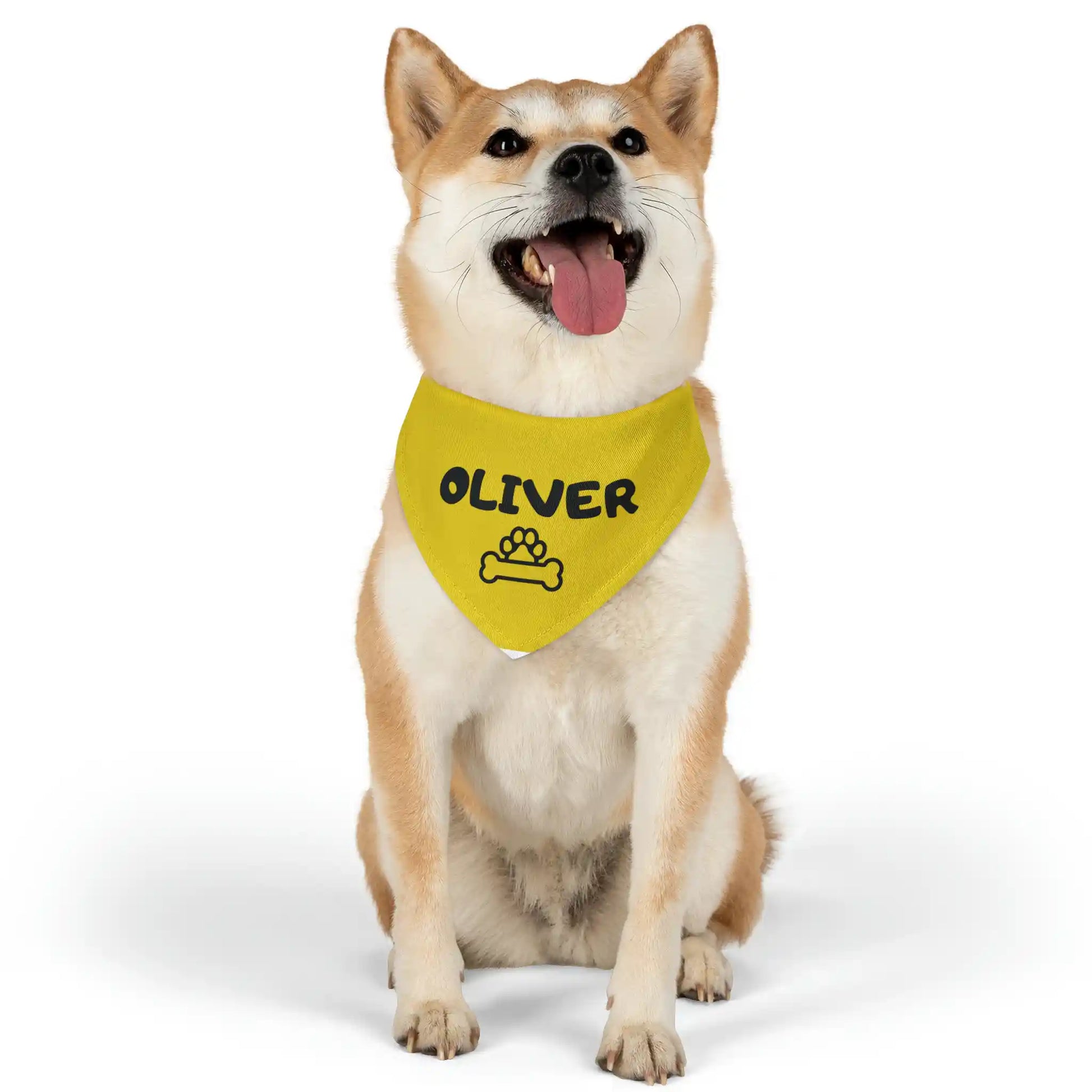 Pet Bandana Collar (Oliver)